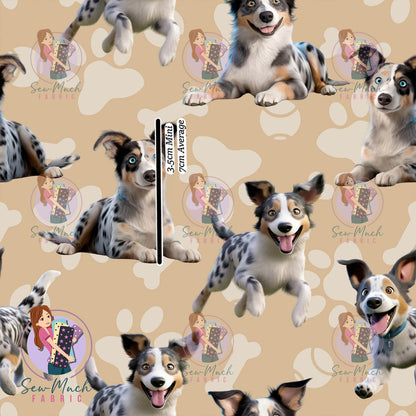 Koolie | Pre-Order |