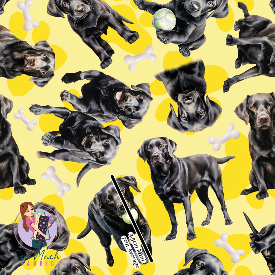 Labrador Yellow | Woven | Retail | Average Scale