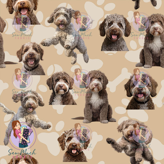 Lagotto Romagnolo | Pre-Order |