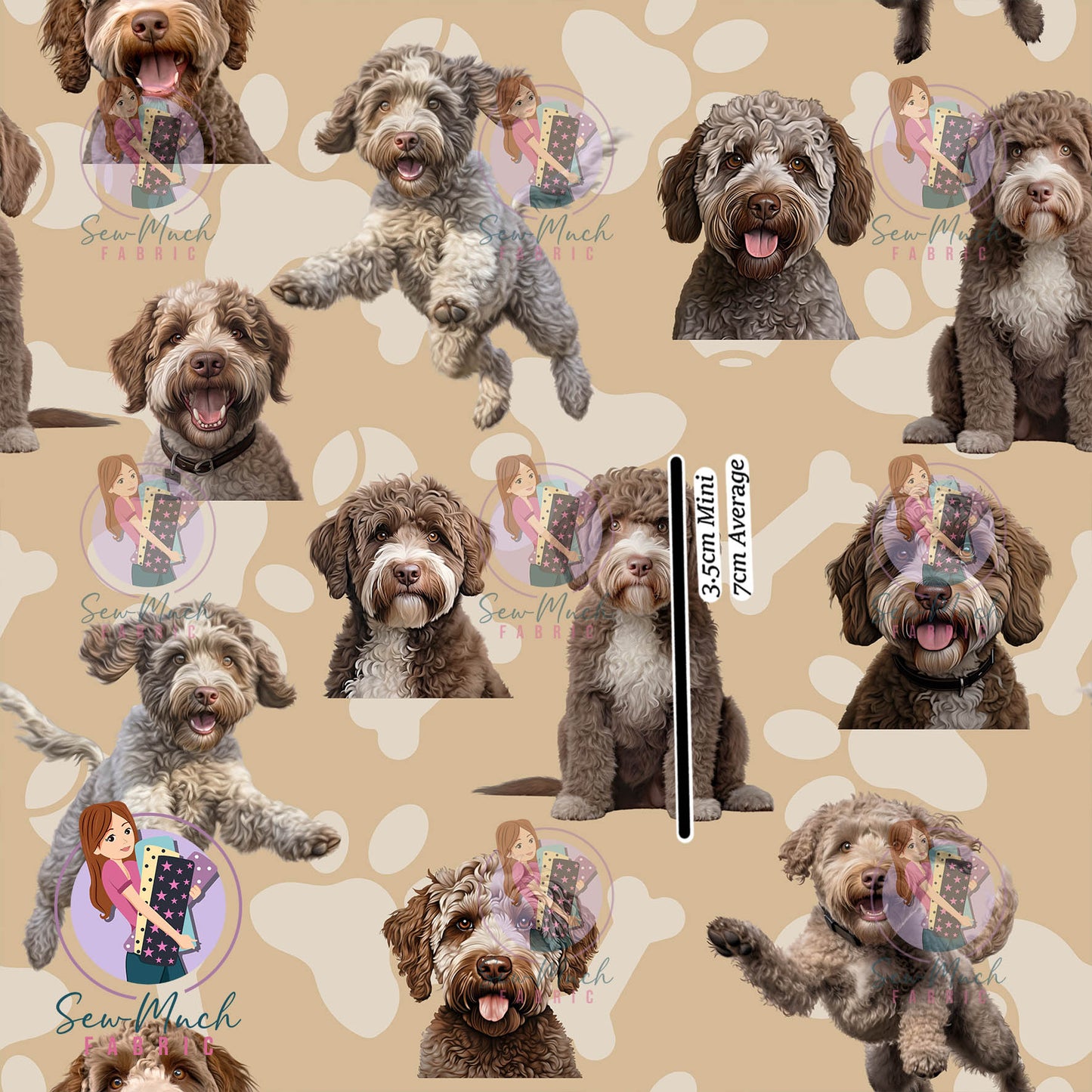 Lagotto Romagnolo | Pre-Order |