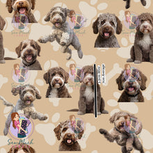 Load image into Gallery viewer, Lagotto Romagnolo | Pre-Order |
