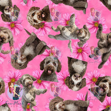 Load image into Gallery viewer, Lagotto Romagnolo 2 | Pre-Order |
