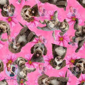 Lagotto Romagnolo 2 | Pre-Order |