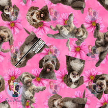 Load image into Gallery viewer, Lagotto Romagnolo 2 | Pre-Order |
