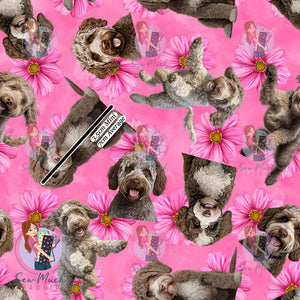 Lagotto Romagnolo 2 | Pre-Order |