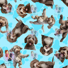 Load image into Gallery viewer, Lagotto Romagnolo 1 | Pre-Order |
