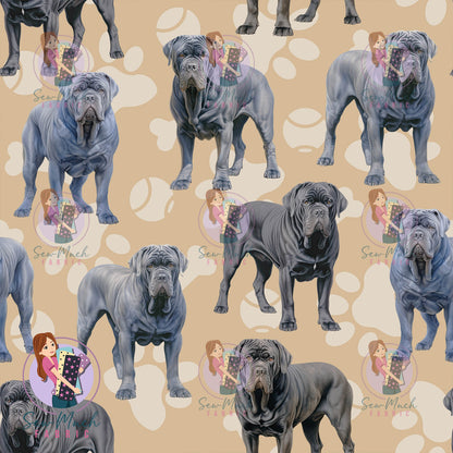 Neapolitan Mastiff | Pre-Order |