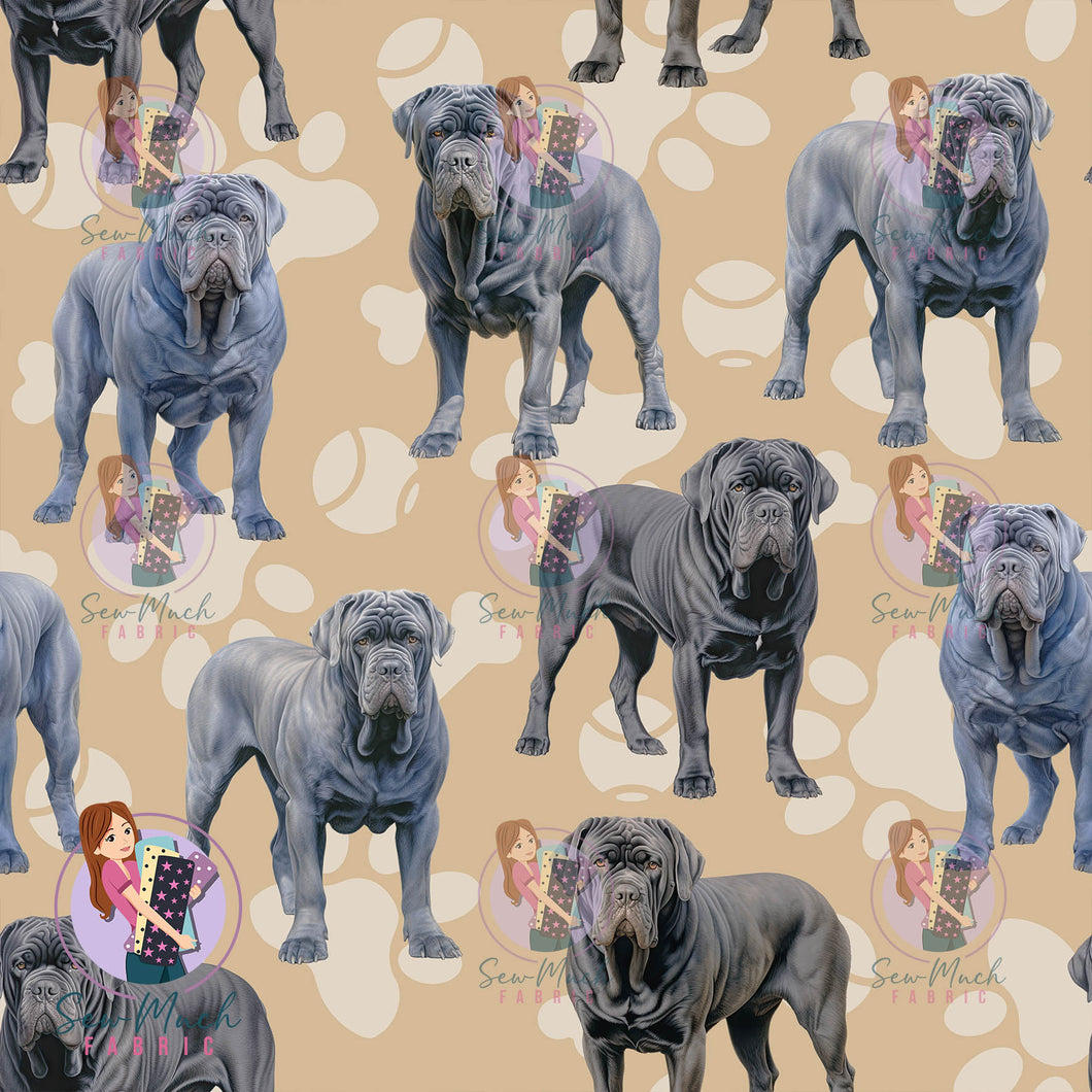 Neapolitan Mastiff | Pre-Order |
