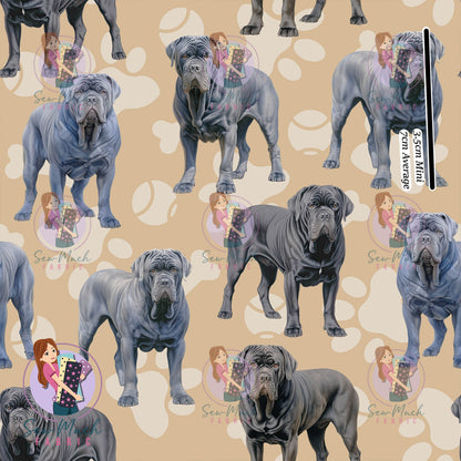 Neapolitan Mastiff | Pre-Order |