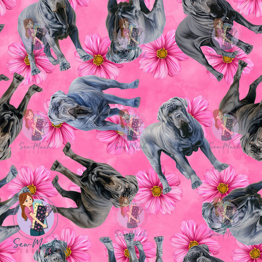 Neapolitan Mastiff 2 | Pre-Order |