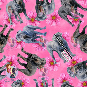 Neapolitan Mastiff 2 | Pre-Order |