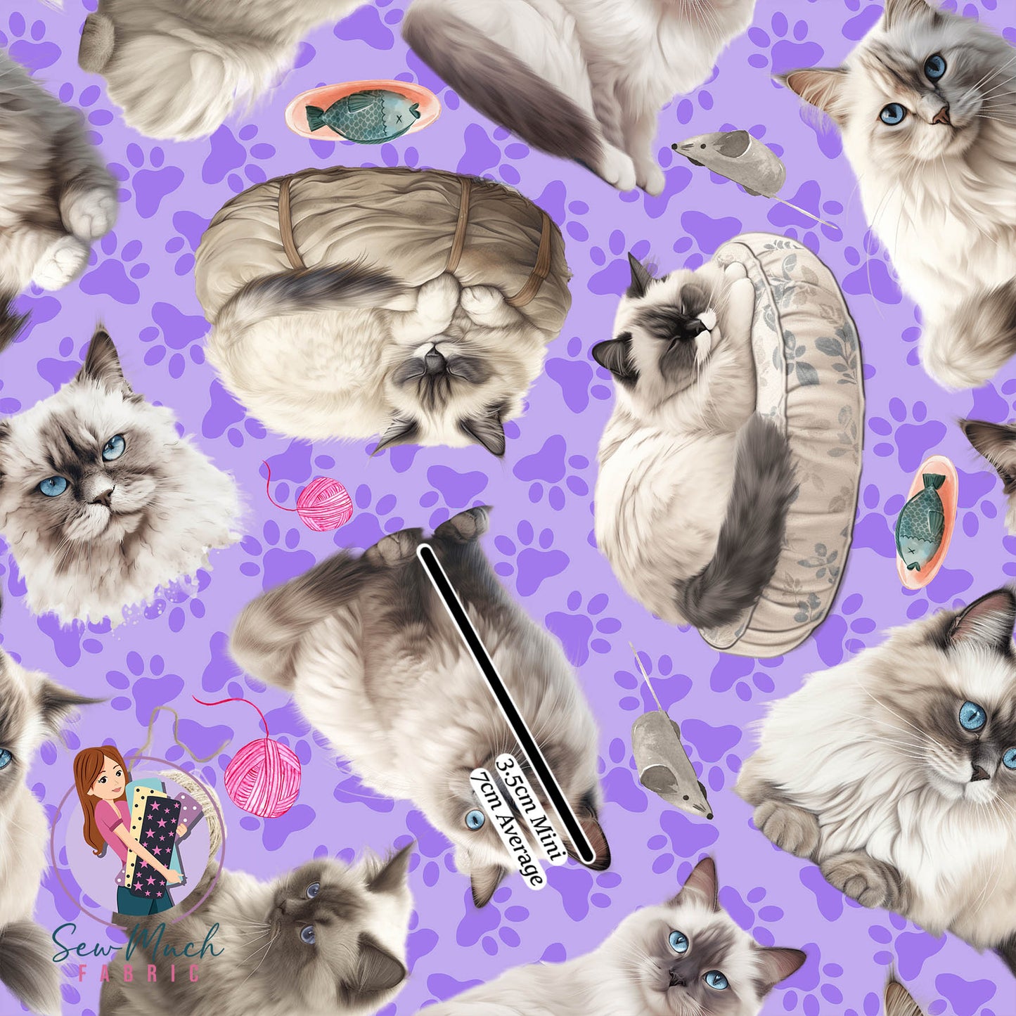 Ragdoll Cat | Pre-Order |