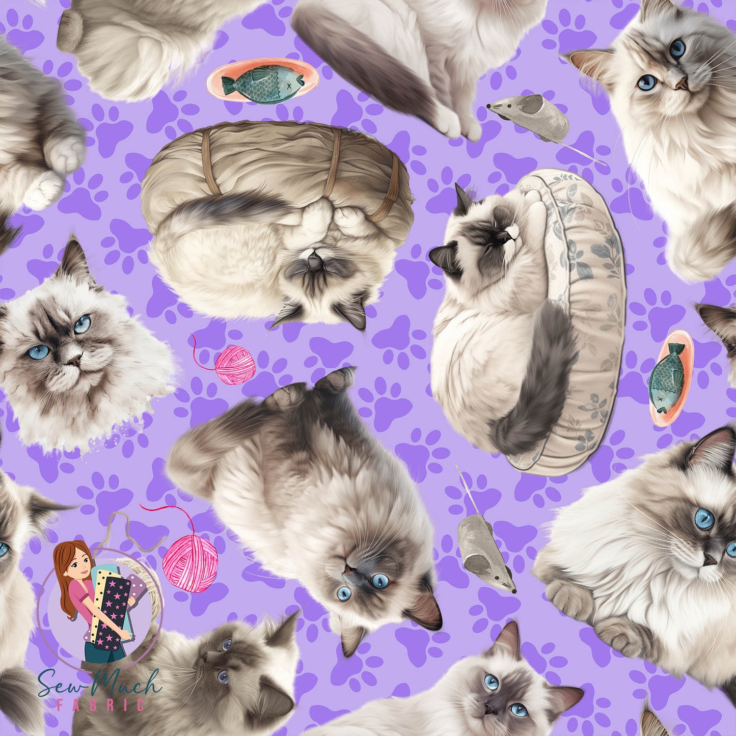 Ragdoll Cat | Pre-Order |