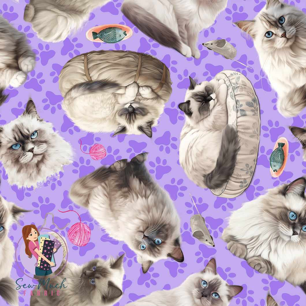Ragdoll Cat | Woven | Retail | MINI Scale