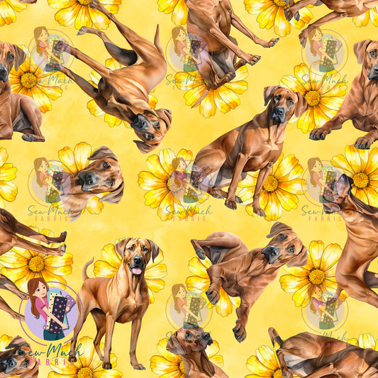 Rhodesian Ridgeback 2 | Pre-Order |