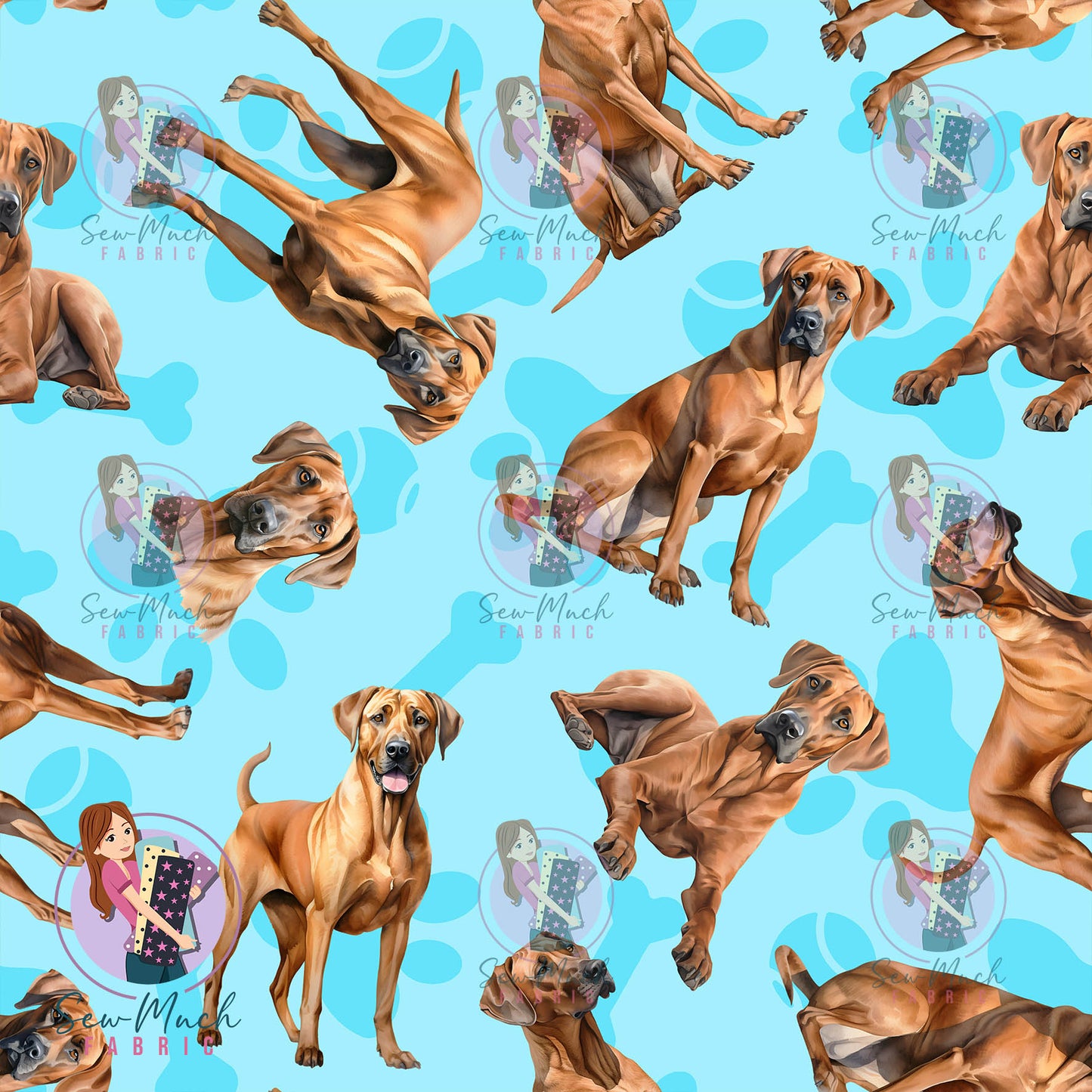 Rhodesian Ridgeback 1 | Pre-Order |