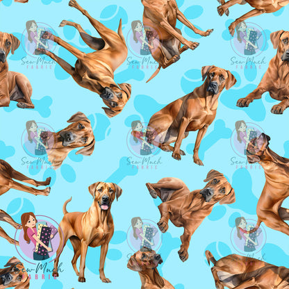 Rhodesian Ridgeback 1 | Pre-Order |