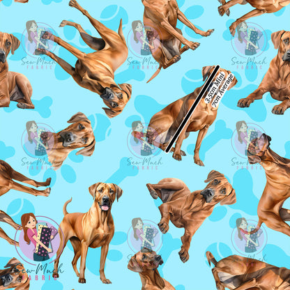 Rhodesian Ridgeback 1 | Pre-Order |