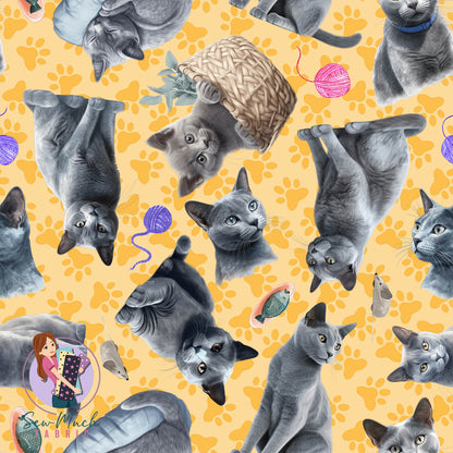 Russian Blue Cat | Pre-Order |