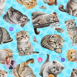 Scottish Fold | Woven | Retail | Average Scale