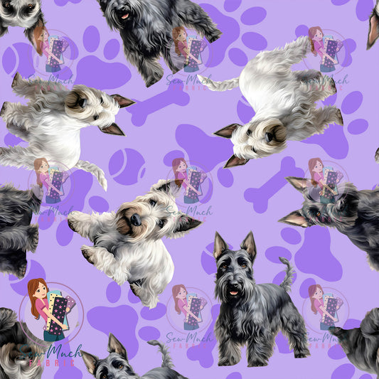 Scottish Terrier 1 | Pre-Order |