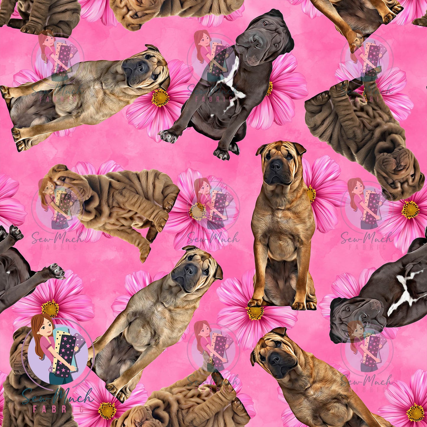 Shar Pei 2 | Pre-Order |