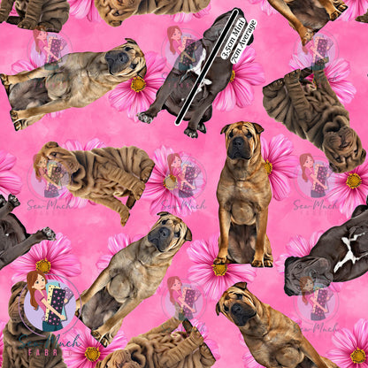 Shar Pei 2 | Pre-Order |