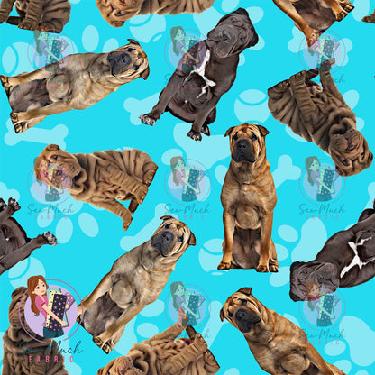 Shar Pei 1 | Pre-Order |