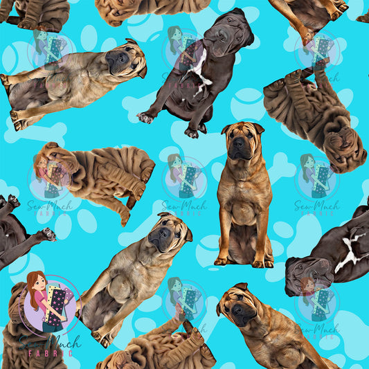 Shar Pei 1 | Pre-Order |