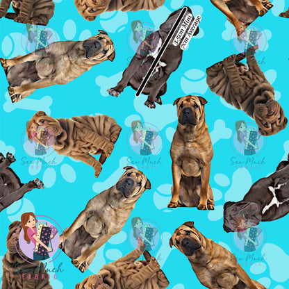 Shar Pei 1 | Pre-Order |