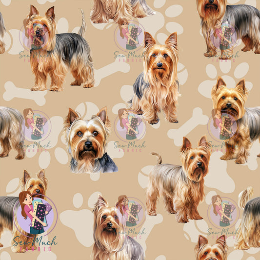 Silkie Terrier | Pre-Order |