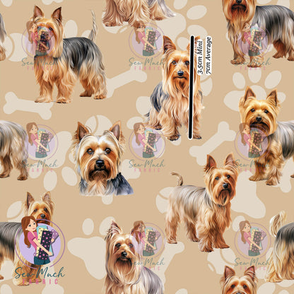 Silkie Terrier | Pre-Order |