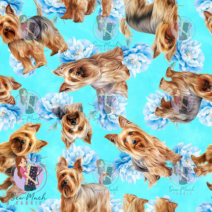 Silkie Terrier 2 | Pre-Order |