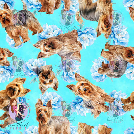 Silkie Terrier 2 | Pre-Order |