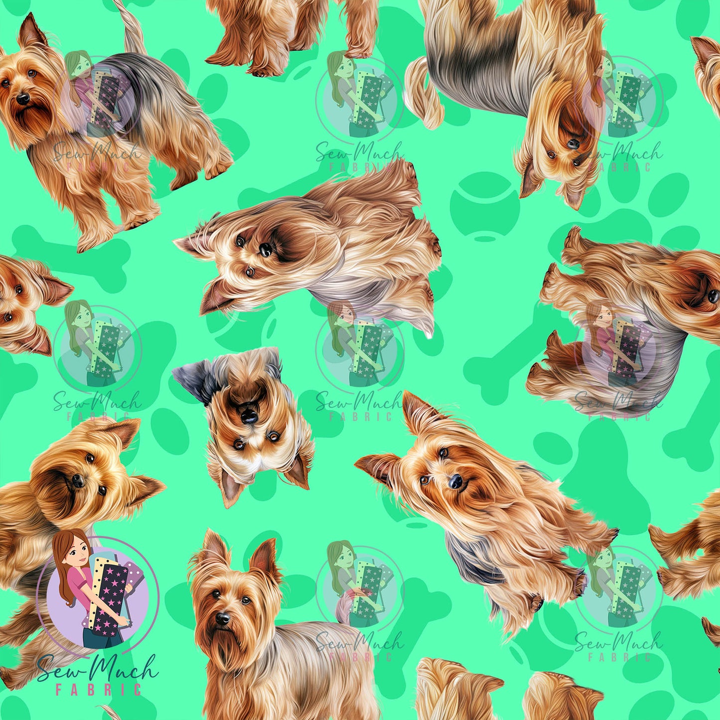 Silkie Terrier 1 | Pre-Order |
