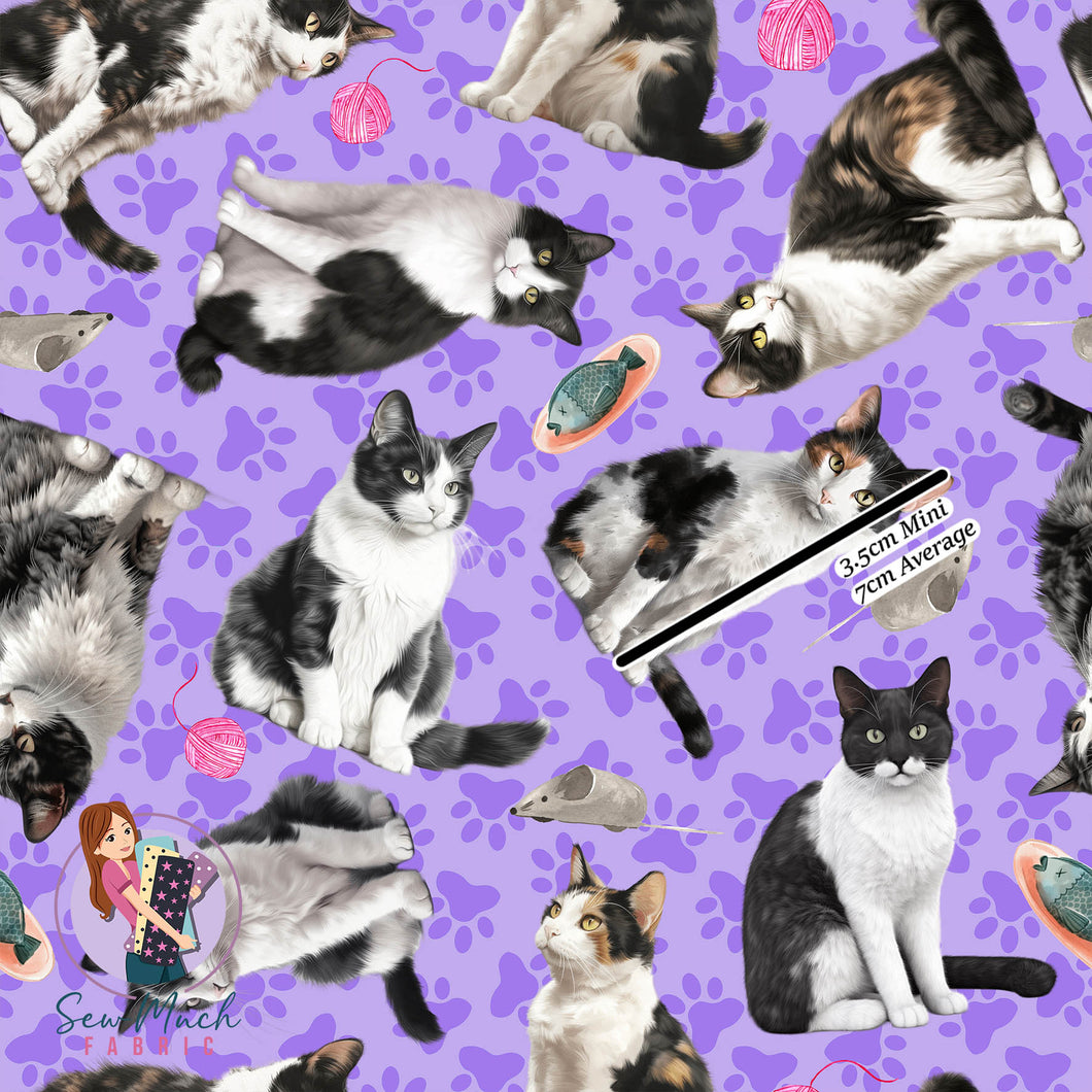 Tuxedo Cat | Woven | Retail | Average Scale