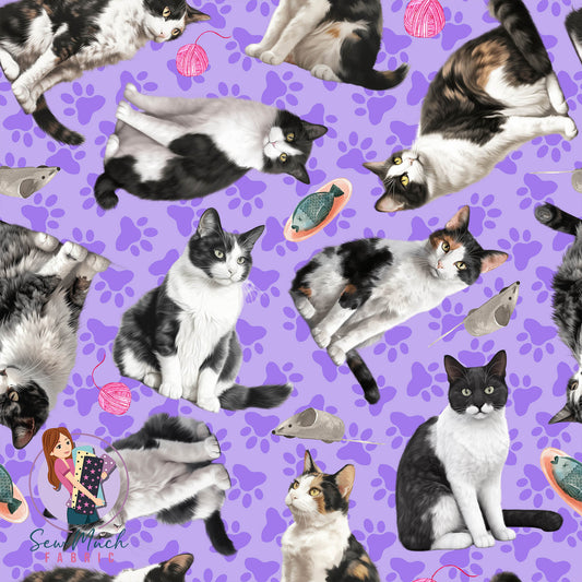 Tuxedo Cat | Pre-Order |