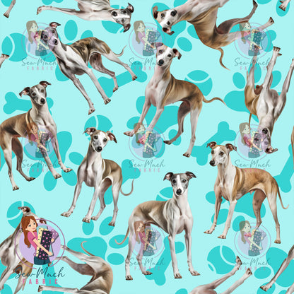 Whippet 1 | Pre-Order |