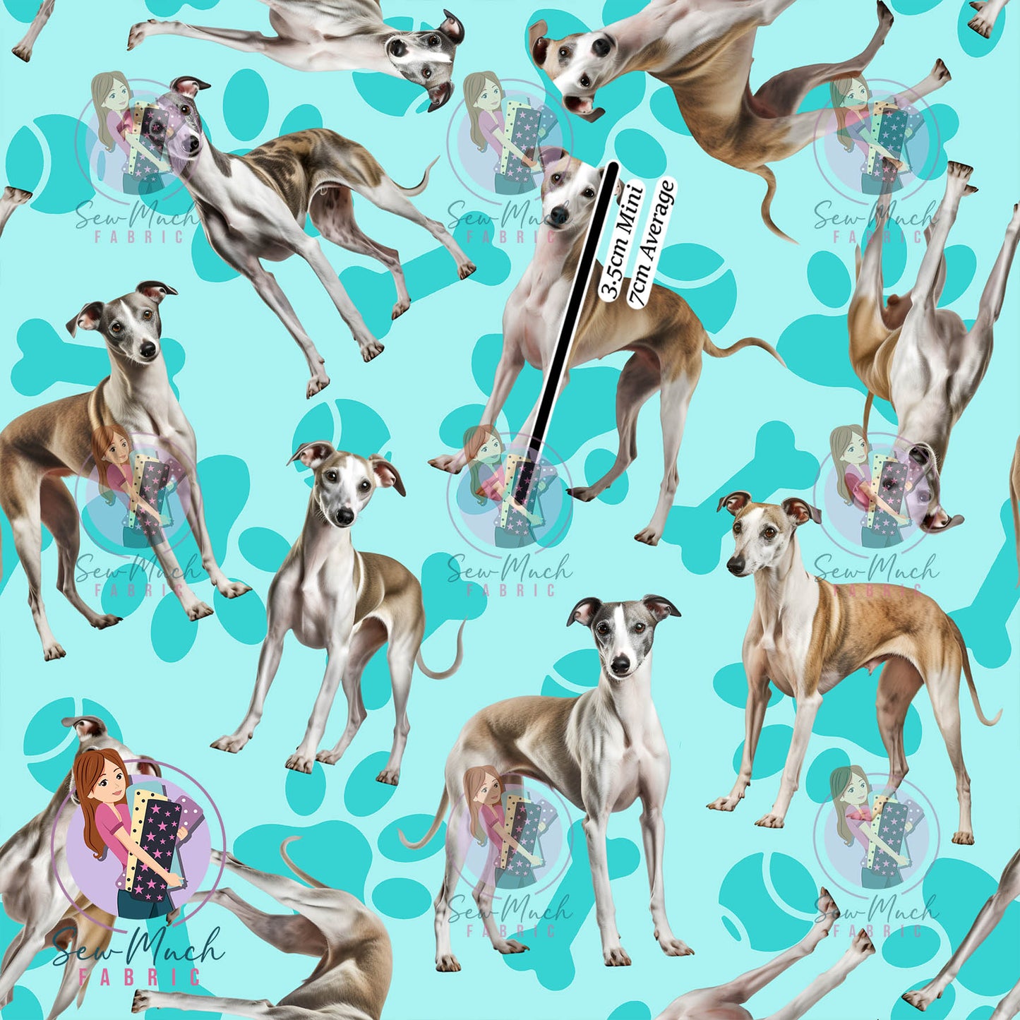 Whippet 1 | Pre-Order |