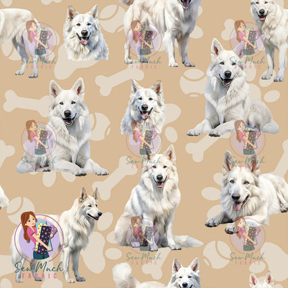 White Swiss Shepherd | Pre-Order |