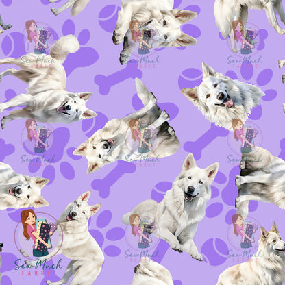White Swiss Shepherd 1 | Pre-Order |