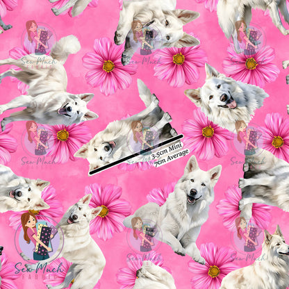 White Swiss Shepherd 2 | Pre-Order |
