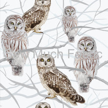 Load image into Gallery viewer, Owls | Bamboo Lycra | Retail | Average Scale
