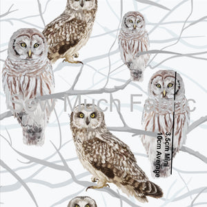 Owls | Bamboo Lycra | Retail | Average Scale