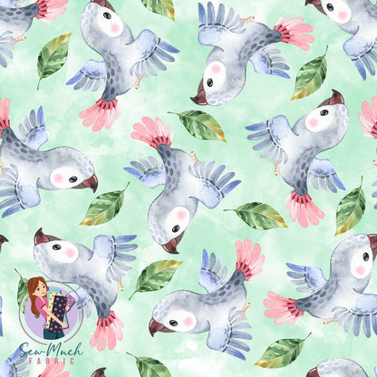 African Grey Parrot (GREEN) | Pre-Order |