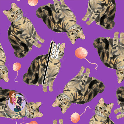 Brown Tabby | Pre-Order |