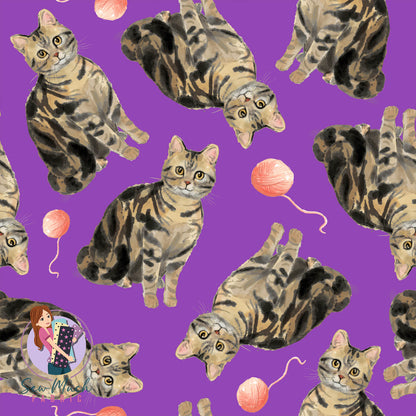 Brown Tabby | Pre-Order |