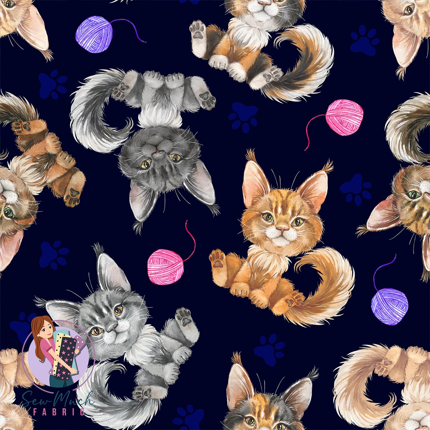 Maine Coon (3) | Pre-Order |