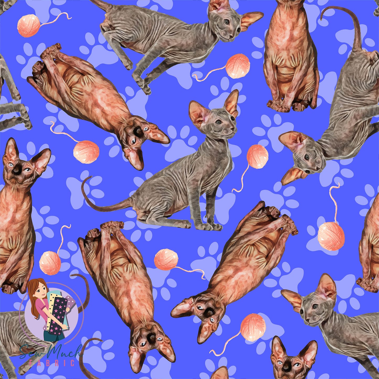 Sphynx 2.0 | Pre-Order |