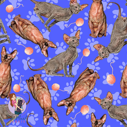 Sphynx 2.0 | Pre-Order |